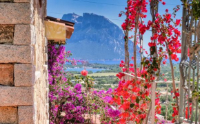La Suliana Apartment